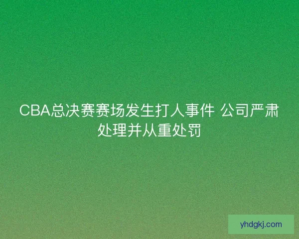 CBA总决赛赛场发生打人事件 公司严肃处理并从重处罚